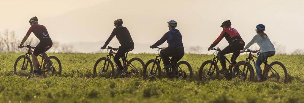 Download your User Manual